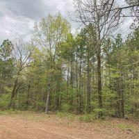 265 Acres &nbsp; CR 4223 &nbsp; Tract 1005