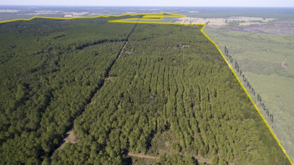 183 Acres &nbsp; Bo Brown Rd &nbsp; Tract 1 featured image