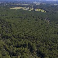 183 Acres &nbsp; Bo Brown Rd &nbsp; Tract 1 images 5