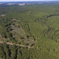 183 Acres &nbsp; Bo Brown Rd &nbsp; Tract 1 images 6
