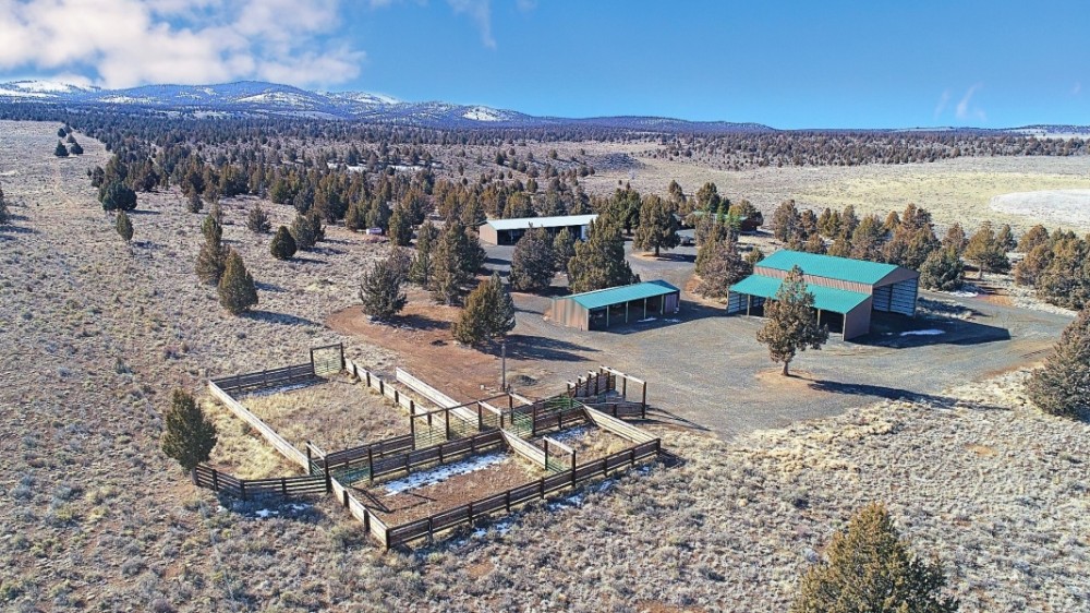 12 Mile Ranch featured image