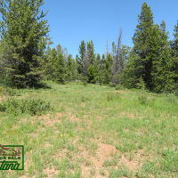 Wooded Property near the Big Hole River - Mountain Maid  3.55 Acres For  29 850 images 2