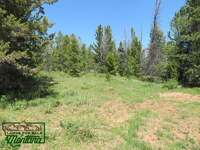 Wooded Property near the Big Hole River - Mountain Maid  3.55 Acres For  29 850 featured image