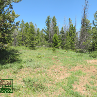 Wooded Property near the Big Hole River - Mountain Maid  3.55 Acres For  29 850