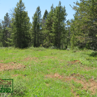 Wooded Property near the Big Hole River - Mountain Maid  3.55 Acres For  29 850 images 4