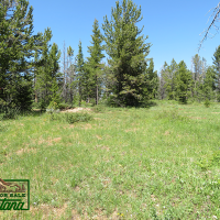 Wooded Property near the Big Hole River - Mountain Maid  3.55 Acres For  29 850 images 3