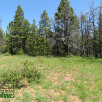 Wooded Property near the Big Hole River - Mountain Maid  3.55 Acres For  29 850 images 5