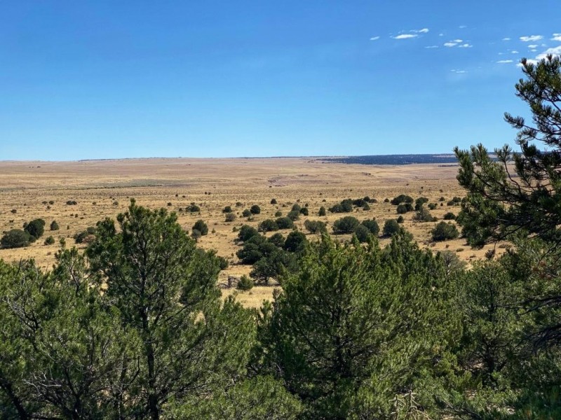 Lot 16 Badito Hills Ranch featured image