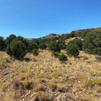 Lot 16 Badito Hills Ranch images 2