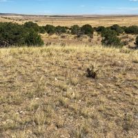 Lot 16 Badito Hills Ranch images 6