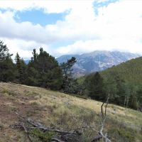 Forbes Wagon Creek Ranch - Lot 488