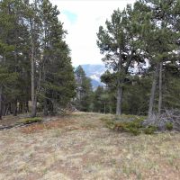 Forbes Wagon Creek Ranch - Lot 488 images 3