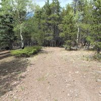 Forbes Wagon Creek Ranch - Lot 488 images 4