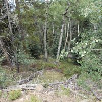 Forbes Wagon Creek Ranch - Lot 488 images 5