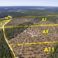 41 Acres &nbsp; Fountain Road &nbsp; Brushy Creek &nbsp;   Tract A9 images 4