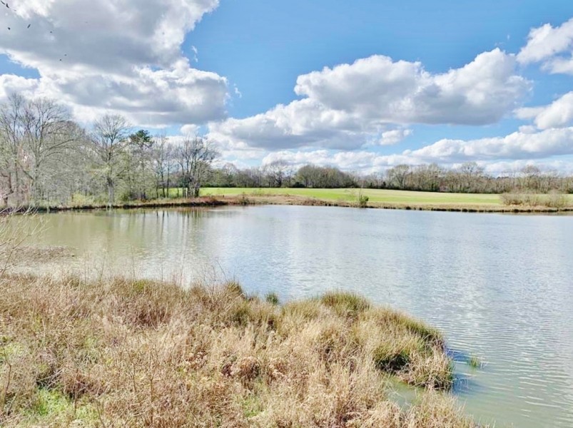 270 Acres Hunting Land for Sale  Lake  Pasture  Amite Co  MS featured image