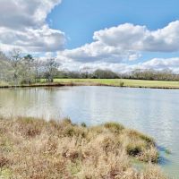 270 Acres Hunting Land for Sale  Lake  Pasture  Amite Co  MS