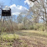 270 Acres Hunting Land for Sale  Lake  Pasture  Amite Co  MS images 2