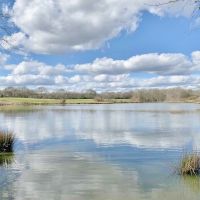 270 Acres Hunting Land for Sale  Lake  Pasture  Amite Co  MS images 3