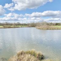 270 Acres Hunting Land for Sale  Lake  Pasture  Amite Co  MS images 4