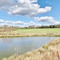 270 Acres Hunting Land for Sale  Lake  Pasture  Amite Co  MS images 5