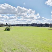 270 Acres Hunting Land for Sale  Lake  Pasture  Amite Co  MS images 6