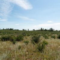 Double Rocker Ranch images 3