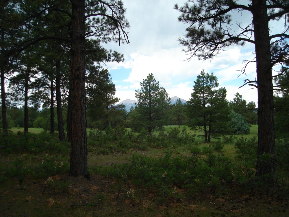 Bear Claw Pass Ranch - South Parcel featured image