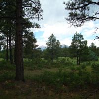 Bear Claw Pass Ranch - South Parcel
