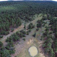 Bear Claw Pass Ranch - South Parcel images 4