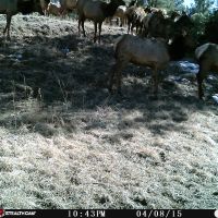 Bear Claw Pass Ranch - South Parcel images 5