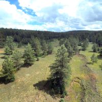 Bear Claw Pass Ranch - South Parcel images 6