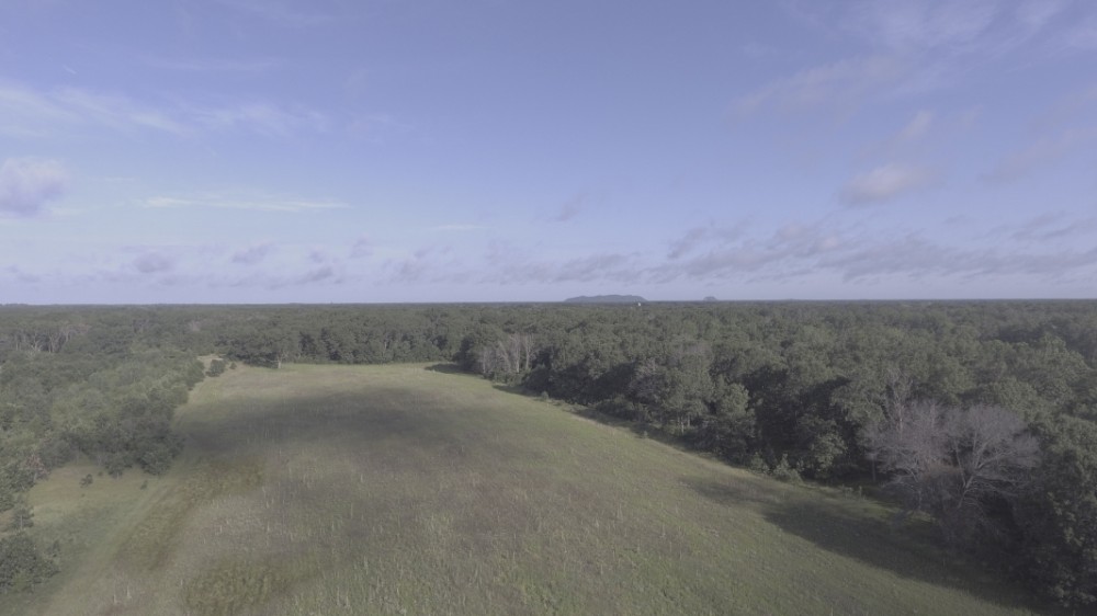 80 acre Hunting Camp in Adams County WI featured image