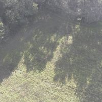 80 acre Hunting Camp in Adams County WI images 2