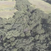 80 acre Hunting Camp in Adams County WI images 3