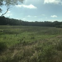 80 acre Hunting Camp in Adams County WI images 4
