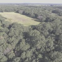 80 acre Hunting Camp in Adams County WI images 5