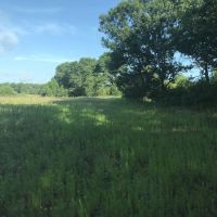 80 acre Hunting Camp in Adams County WI images 6