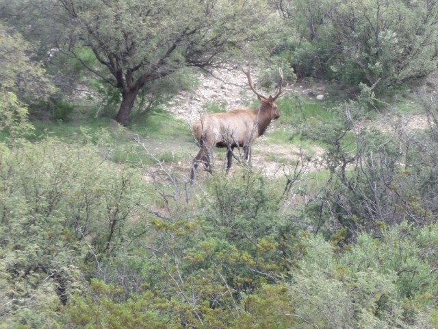 650 acre hunting property featured image