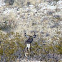650 acre hunting property images 2