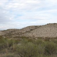 650 acre hunting property images 6