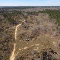 272 ac - Hunting with Home Site Potential near Town - Price Reduced