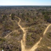 272 ac - Hunting with Home Site Potential near Town - Price Reduced images 2