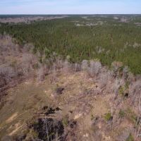 272 ac - Hunting with Home Site Potential near Town - Price Reduced images 3