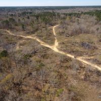 272 ac - Hunting with Home Site Potential near Town - Price Reduced images 5