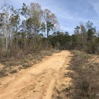 272 ac - Hunting with Home Site Potential near Town - Price Reduced images 6