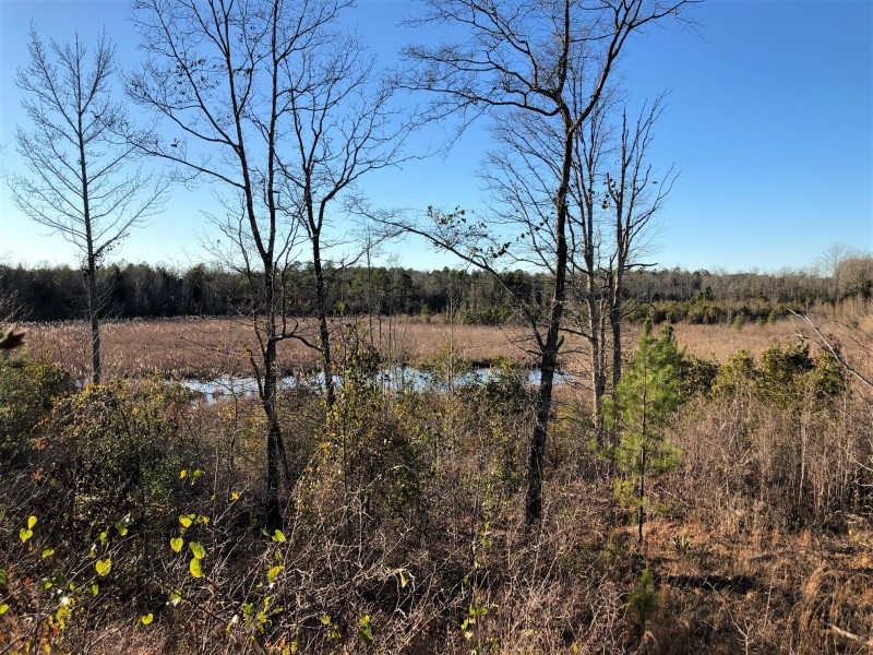Gum Creek Hunting featured image