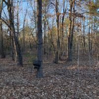Gum Creek Hunting images 2