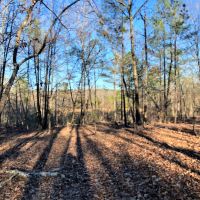 Gum Creek Hunting images 4