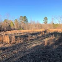 Gum Creek Hunting images 5